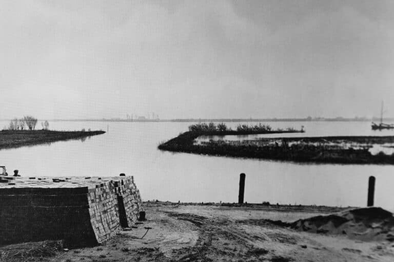 De Biesbosch